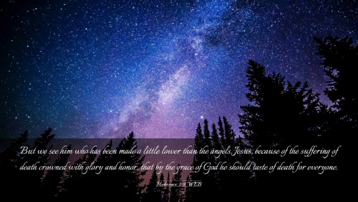 Picture 03 - Hebrews 2:9 WEB Desktop Wallpaper - But we see him who has been made a little lower - Desktop Bible Verse Wallpaper