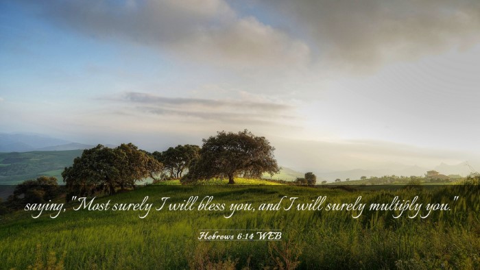 Picture 03 - Hebrews 6:14 WEB Desktop Wallpaper - saying, 