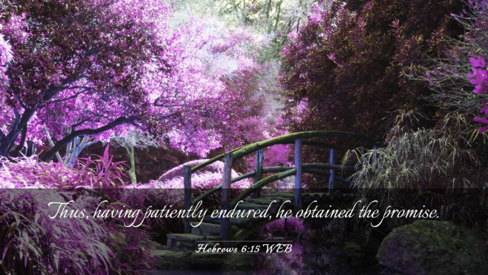 Picture 03 - Hebrews 6:15 WEB Desktop Wallpaper - Thus, having patiently endured, he obtained the - Desktop Bible Verse Wallpaper