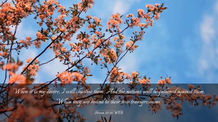 Picture 03 - Hosea 10:10 WEB Desktop Wallpaper - When it is my desire, I will chastise them; And - Desktop Bible Verse Wallpaper