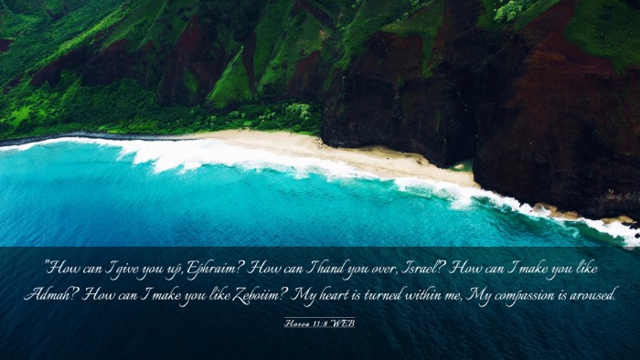 Picture 03 - Hosea 11:8 WEB Desktop Wallpaper - 