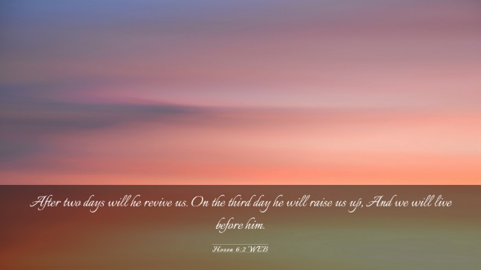 Picture 03 - Hosea 6:2 WEB Desktop Wallpaper - After two days will he revive us. On the third - Desktop Bible Verse Wallpaper