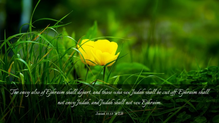 Picture 03 - Isaiah 11:13 WEB Desktop Wallpaper - The envy also of Ephraim shall depart, and those - Desktop Bible Verse Wallpaper