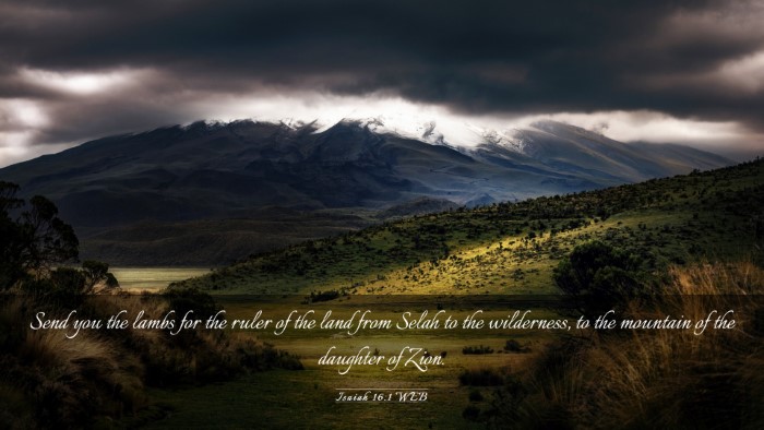 Picture 03 - Isaiah 16:1 WEB Desktop Wallpaper - Send you the lambs for the ruler of the land from - Desktop Bible Verse Wallpaper