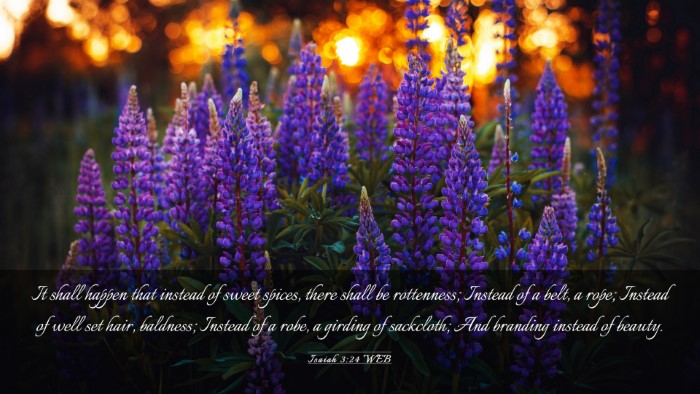 Picture 03 - Isaiah 3:24 WEB Desktop Wallpaper - It shall happen that instead of sweet spices, - Desktop Bible Verse Wallpaper