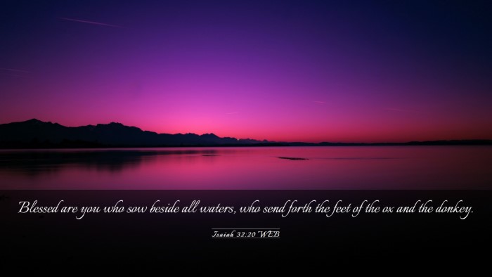 Picture 03 - Isaiah 32:20 WEB Desktop Wallpaper - Blessed are you who sow beside all waters, who - Desktop Bible Verse Wallpaper
