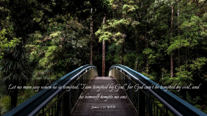 Picture 03 - James 1:13 WEB Desktop Wallpaper - Let no man say when he is tempted, 