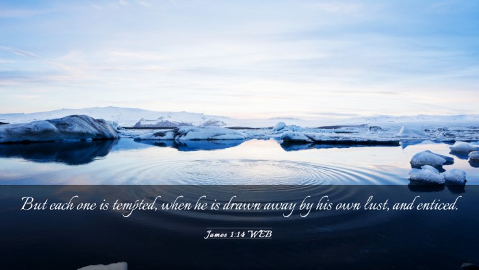 Picture 03 - James 1:14 WEB Desktop Wallpaper - But each one is tempted, when he is drawn away by - Desktop Bible Verse Wallpaper