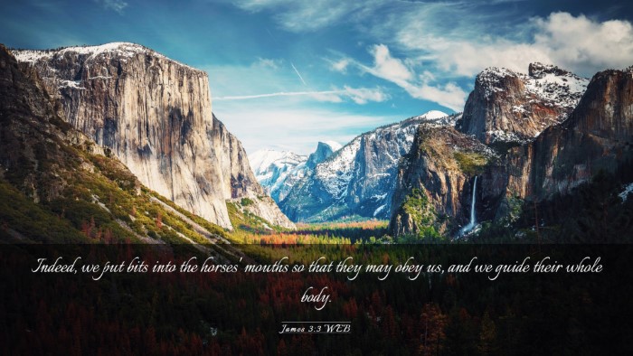 Picture 03 - James 3:3 WEB Desktop Wallpaper - Indeed, we put bits into the horses' mouths so - Desktop Bible Verse Wallpaper