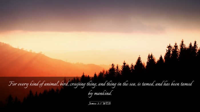 Picture 03 - James 3:7 WEB Desktop Wallpaper - For every kind of animal, bird, creeping thing, - Desktop Bible Verse Wallpaper
