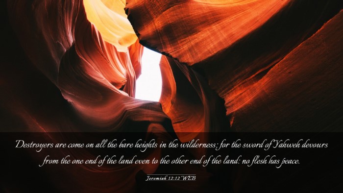 Picture 03 - Jeremiah 12:12 WEB Desktop Wallpaper - Destroyers are come on all the bare heights in - Desktop Bible Verse Wallpaper