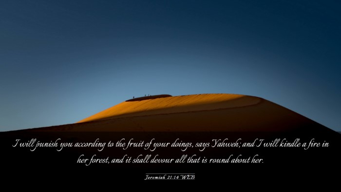 Picture 03 - Jeremiah 21:14 WEB Desktop Wallpaper - I will punish you according to the fruit of your - Desktop Bible Verse Wallpaper