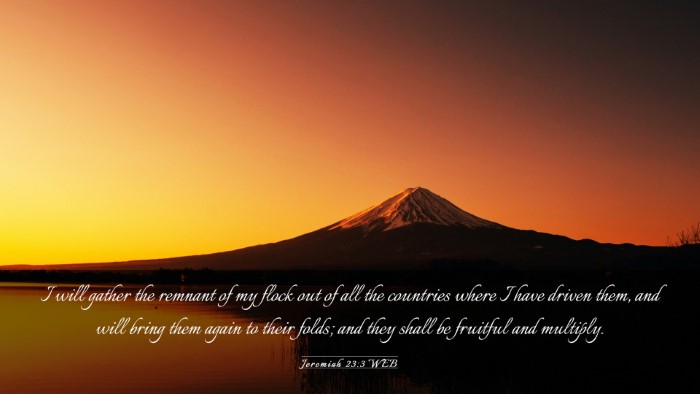 Picture 03 - Jeremiah 23:3 WEB Desktop Wallpaper - I will gather the remnant of my flock out of all - Desktop Bible Verse Wallpaper