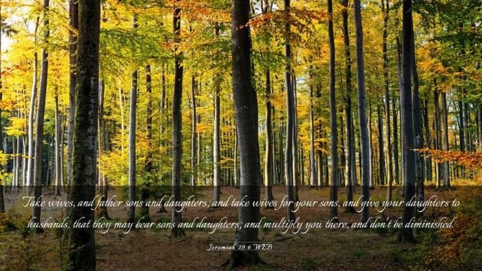 Picture 03 - Jeremiah 29:6 WEB Desktop Wallpaper - Take wives, and father sons and daughters; and - Desktop Bible Verse Wallpaper