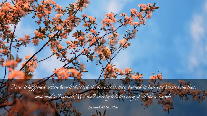 Picture 03 - Jeremiah 36:16 WEB Desktop Wallpaper - Now it happened, when they had heard all the - Desktop Bible Verse Wallpaper