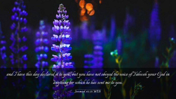Picture 03 - Jeremiah 42:21 WEB Desktop Wallpaper - and I have this day declared it to you; but you - Desktop Bible Verse Wallpaper