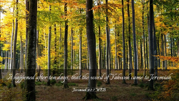Picture 03 - Jeremiah 42:7 WEB Desktop Wallpaper - It happened after ten days, that the word of - Desktop Bible Verse Wallpaper