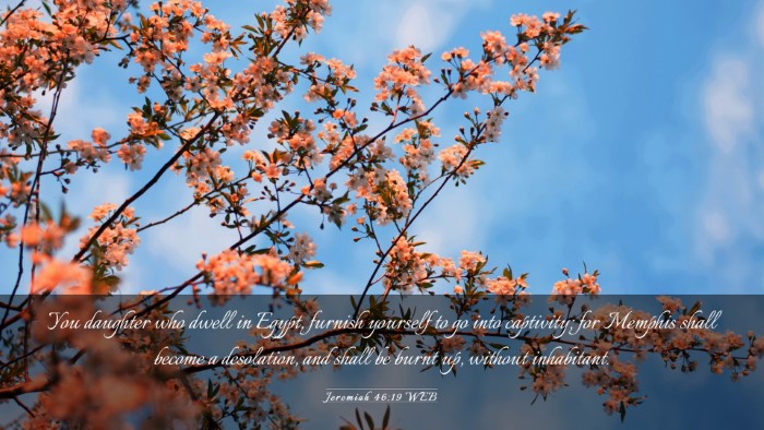 Picture 03 - Jeremiah 46:19 WEB Desktop Wallpaper - You daughter who dwell in Egypt, furnish yourself - Desktop Bible Verse Wallpaper