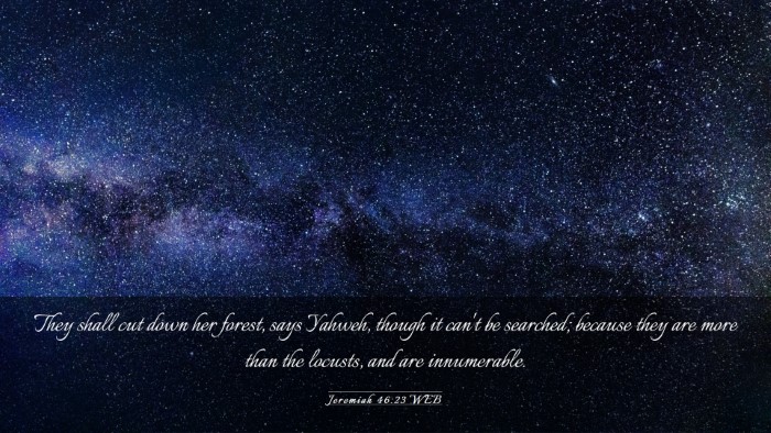 Picture 03 - Jeremiah 46:23 WEB Desktop Wallpaper - They shall cut down her forest, says Yahweh, - Desktop Bible Verse Wallpaper
