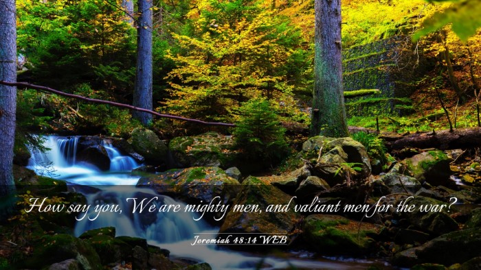 Picture 03 - Jeremiah 48:14 WEB Desktop Wallpaper - How say you, We are mighty men, and valiant men - Desktop Bible Verse Wallpaper