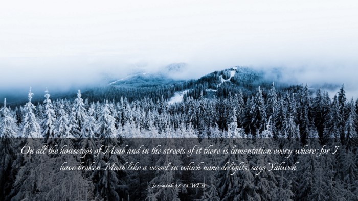 Picture 03 - Jeremiah 48:38 WEB Desktop Wallpaper - On all the housetops of Moab and in the streets - Desktop Bible Verse Wallpaper