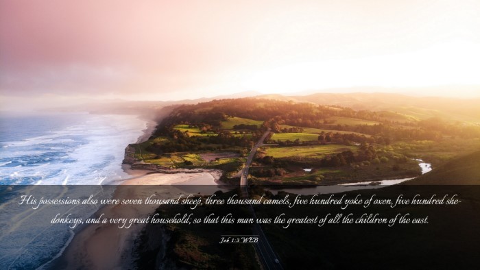 Picture 03 - Job 1:3 WEB Desktop Wallpaper - His possessions also were seven thousand sheep, - Desktop Bible Verse Wallpaper
