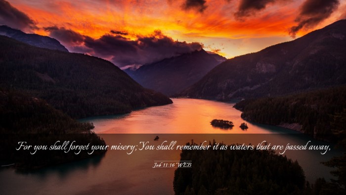 Picture 03 - Job 11:16 WEB Desktop Wallpaper - For you shall forget your misery; You shall - Desktop Bible Verse Wallpaper