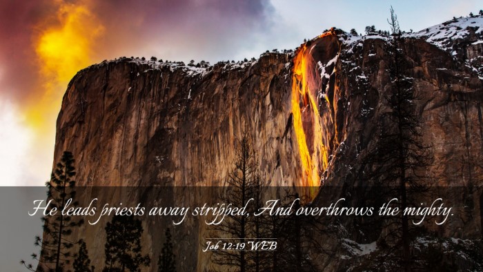 Picture 03 - Job 12:19 WEB Desktop Wallpaper - He leads priests away stripped, And overthrows - Desktop Bible Verse Wallpaper