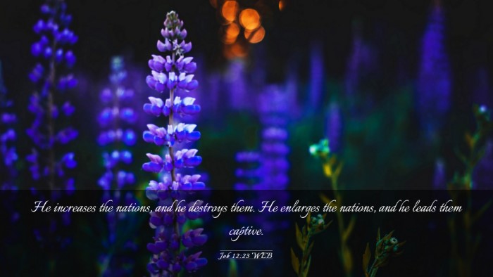 Picture 03 - Job 12:23 WEB Desktop Wallpaper - He increases the nations, and he destroys them. - Desktop Bible Verse Wallpaper