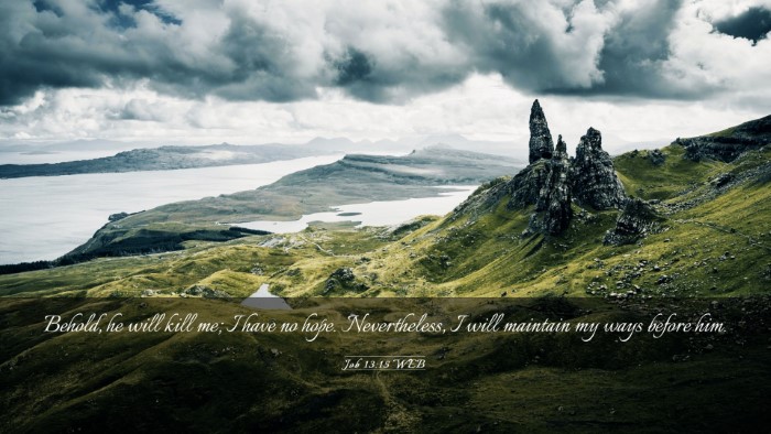 Picture 03 - Job 13:15 WEB Desktop Wallpaper - Behold, he will kill me; I have no hope. - Desktop Bible Verse Wallpaper