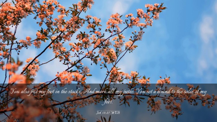 Picture 03 - Job 13:27 WEB Desktop Wallpaper - You also put my feet in the stocks, And mark all - Desktop Bible Verse Wallpaper