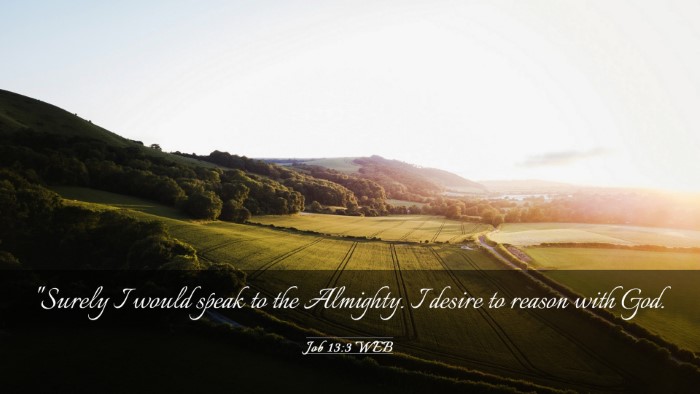 Picture 03 - Job 13:3 WEB Desktop Wallpaper - 