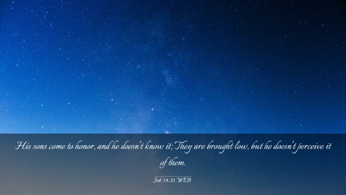 Picture 03 - Job 14:21 WEB Desktop Wallpaper - His sons come to honor, and he doesn't know it; - Desktop Bible Verse Wallpaper