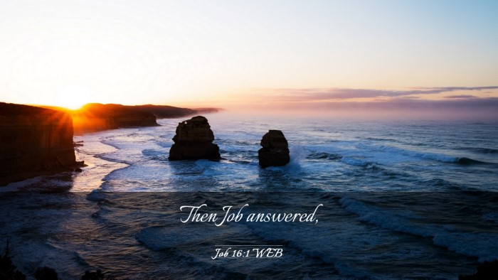 Picture 03 - Job 16:1 WEB Desktop Wallpaper - Then Job - Desktop Bible Verse Wallpaper