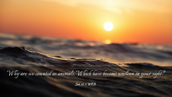 Picture 03 - Job 18:3 WEB Desktop Wallpaper - Why are we counted as animals, Which have become - Desktop Bible Verse Wallpaper