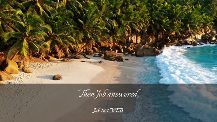 Picture 03 - Job 19:1 WEB Desktop Wallpaper - Then Job - Desktop Bible Verse Wallpaper