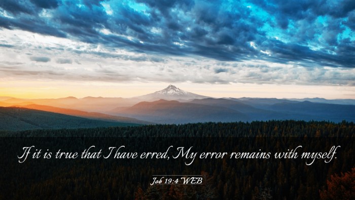 Picture 03 - Job 19:4 WEB Desktop Wallpaper - If it is true that I have erred, My error remains - Desktop Bible Verse Wallpaper