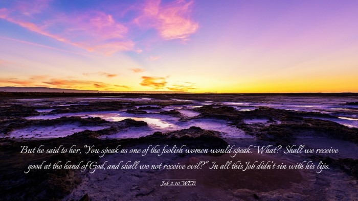 Picture 03 - Job 2:10 WEB Desktop Wallpaper - But he said to her, 