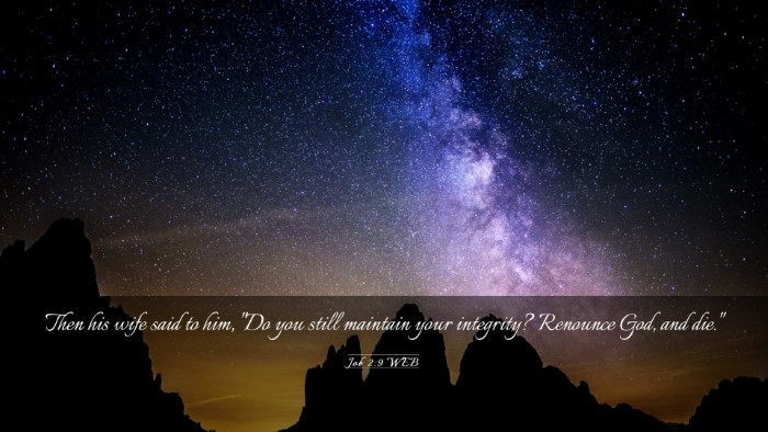 Picture 03 - Job 2:9 WEB Desktop Wallpaper - Then his wife said to him, 