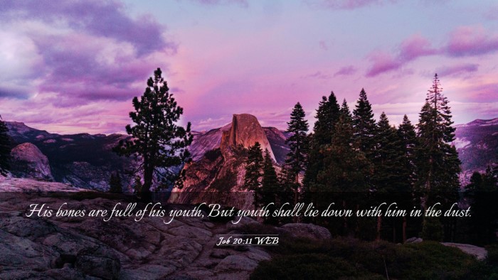 Picture 03 - Job 20:11 WEB Desktop Wallpaper - His bones are full of his youth, But youth shall - Desktop Bible Verse Wallpaper