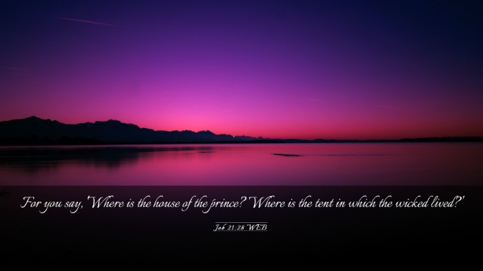Picture 03 - Job 21:28 WEB Desktop Wallpaper - For you say, 'Where is the house of the prince? - Desktop Bible Verse Wallpaper