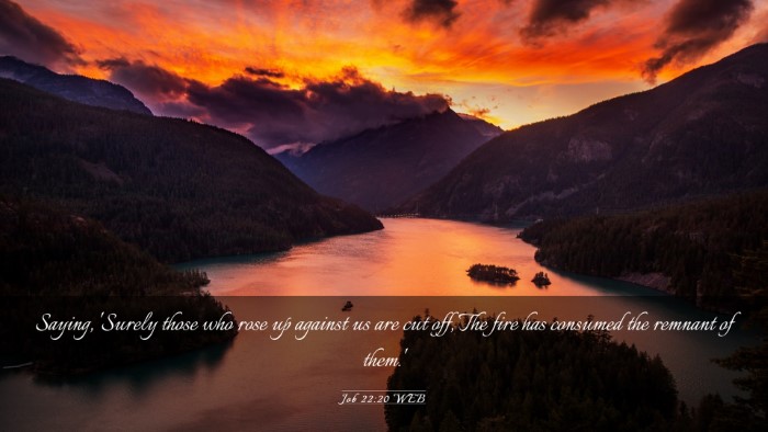 Picture 03 - Job 22:20 WEB Desktop Wallpaper - Saying, 'Surely those who rose up against us are - Desktop Bible Verse Wallpaper