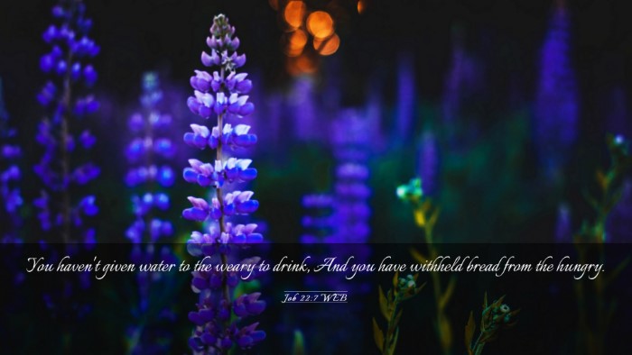 Picture 03 - Job 22:7 WEB Desktop Wallpaper - You haven't given water to the weary to drink, - Desktop Bible Verse Wallpaper