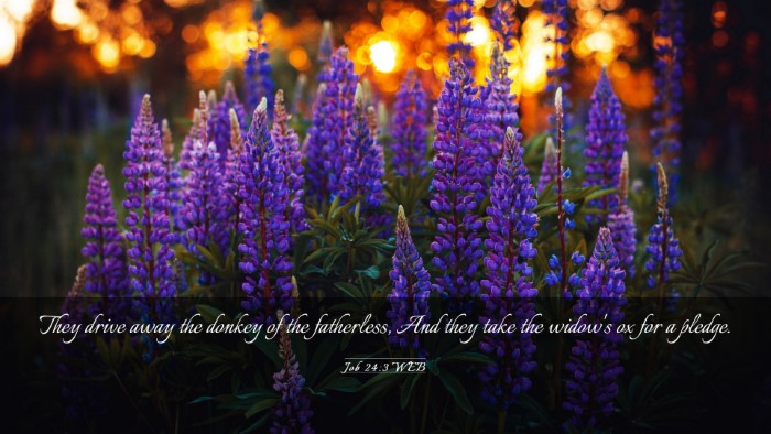 Picture 03 - Job 24:3 WEB Desktop Wallpaper - They drive away the donkey of the fatherless, And - Desktop Bible Verse Wallpaper