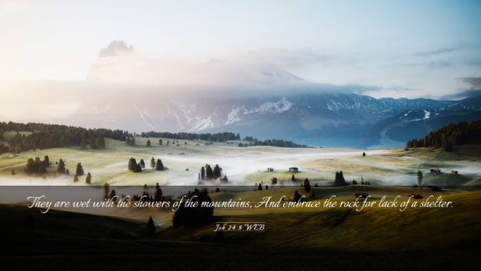 Picture 03 - Job 24:8 WEB Desktop Wallpaper - They are wet with the showers of the mountains, - Desktop Bible Verse Wallpaper