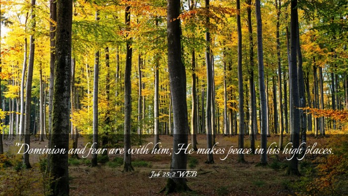 Picture 03 - Job 25:2 WEB Desktop Wallpaper - 