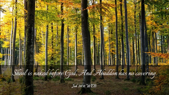 Picture 03 - Job 26:6 WEB Desktop Wallpaper - Sheol is naked before God, And Abaddon has no - Desktop Bible Verse Wallpaper