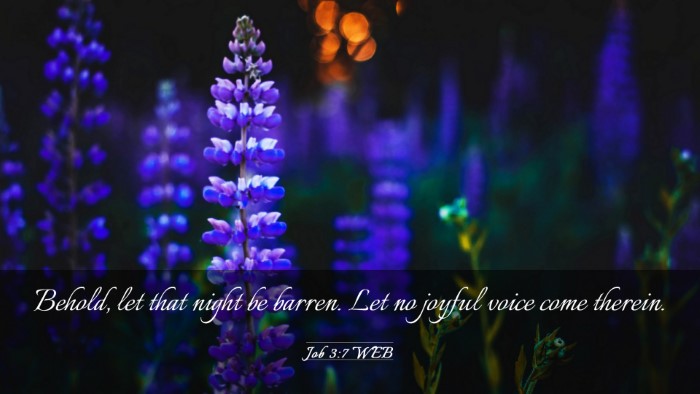 Picture 03 - Job 3:7 WEB Desktop Wallpaper - Behold, let that night be barren. Let no joyful - Desktop Bible Verse Wallpaper