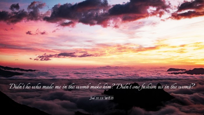 Picture 03 - Job 31:15 WEB Desktop Wallpaper - Didn't he who made me in the womb make him? - Desktop Bible Verse Wallpaper