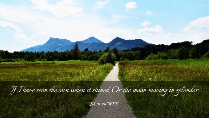 Picture 03 - Job 31:26 WEB Desktop Wallpaper - If I have seen the sun when it shined, Or the - Desktop Bible Verse Wallpaper